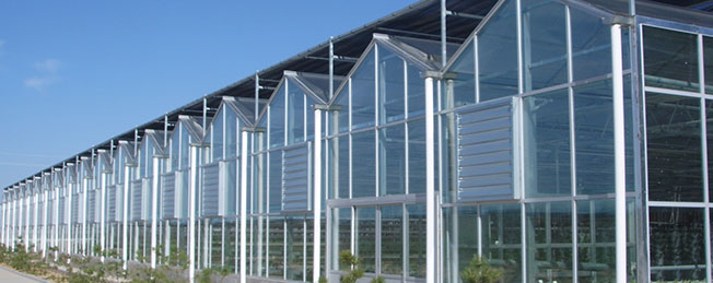 山东柏科阿姆农业科技开发有限公司