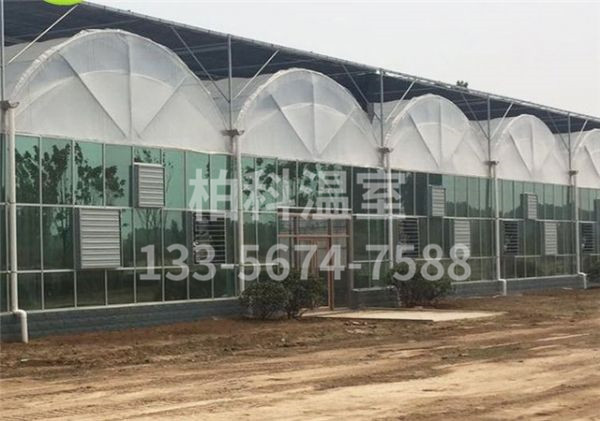 mg不朽情缘官网温室