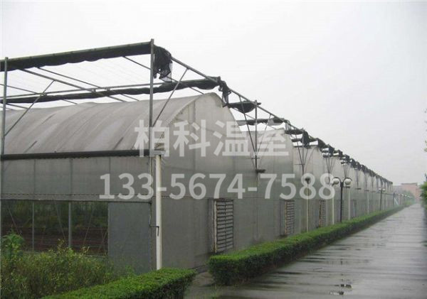 mg不朽情缘官网温室