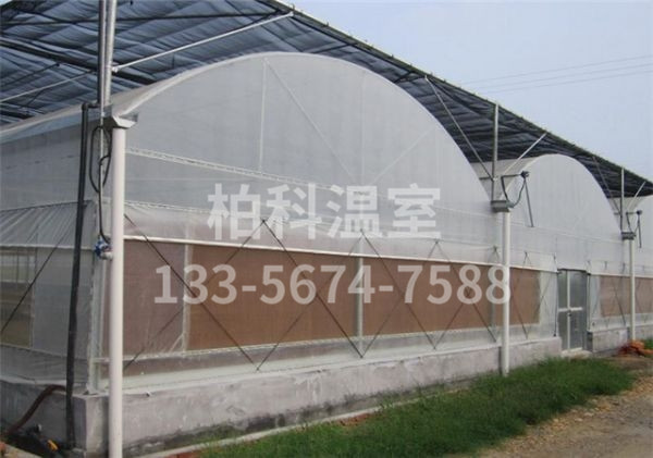 mg不朽情缘官网温室