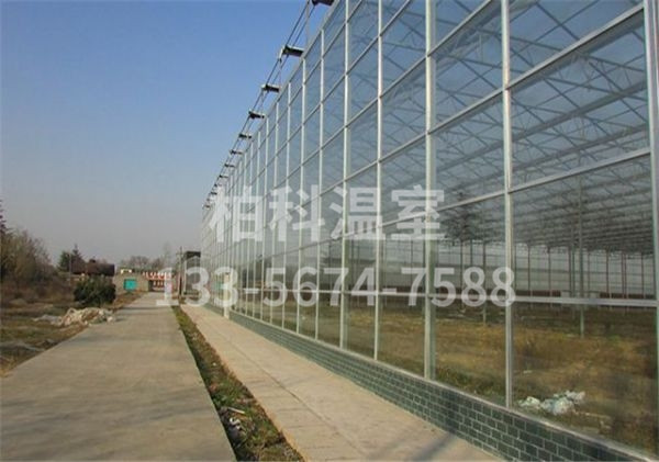 mg不朽情缘官网温室