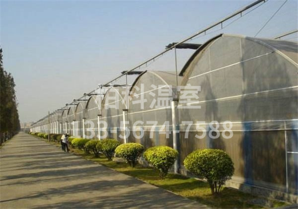 mg不朽情缘官网温室