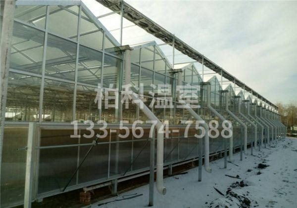 mg不朽情缘官网温室