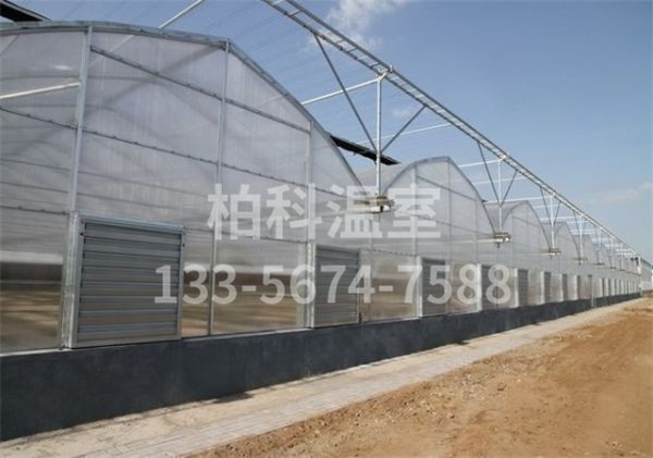 mg不朽情缘官网温室