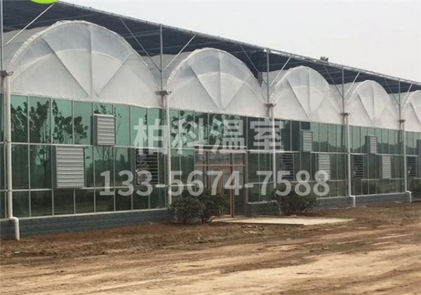 mg不朽情缘官网温室