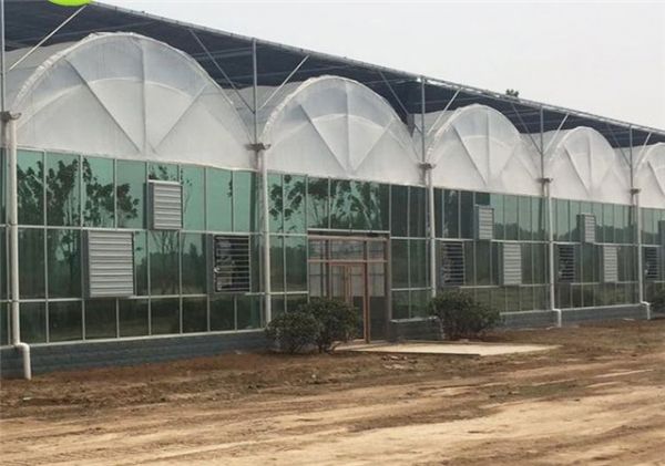 蔬菜温室大棚是如何进行日常维护的